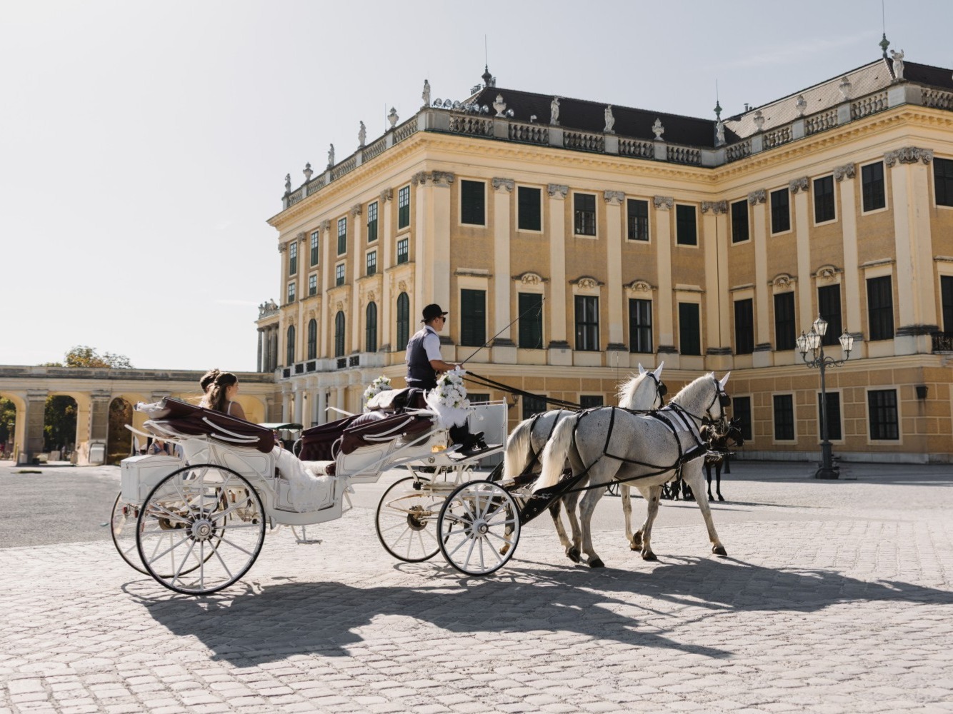 Schönbrunn Group